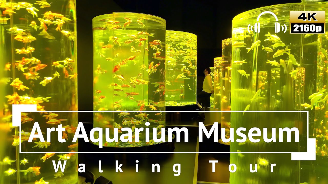 [4K/Binaural Audio] Art Aquarium Museum Walking Tour Tokyo Japan
