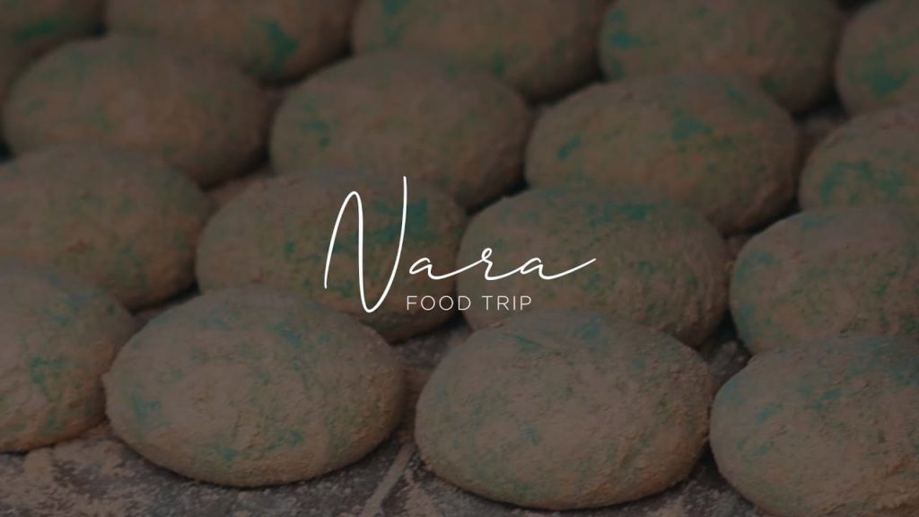 CINEMATIC TRAVEL VLOG: Japan - Nara Food Trip