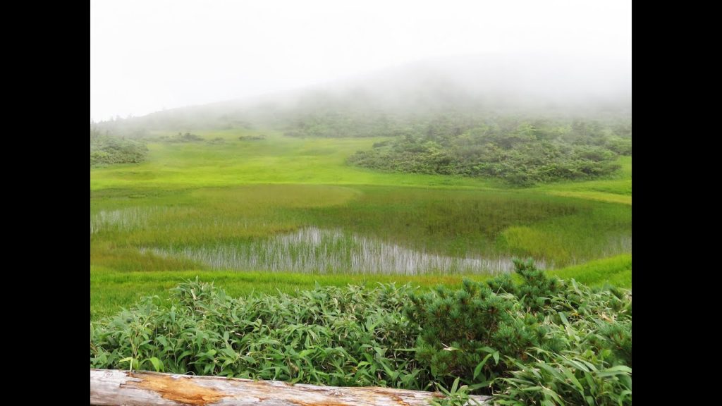 AOMORI Hakkoda Mountains in the fog (Aug.2016) 霧の中の八甲田トレッキング（2016年8月）