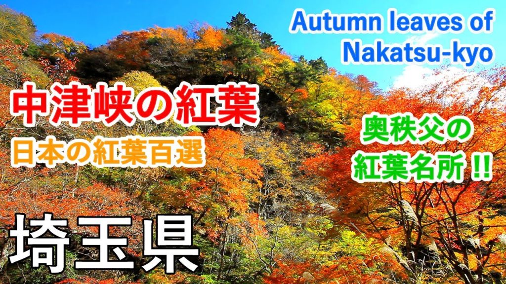 埼玉県 中津峡の紅葉(日本の紅葉百選)奥秩父を代表する紅葉スポット / Autumn leaves of Nakatsu-kyo Valley ( Saitama, Japan )【日本の紅葉絶景!】 埼玉県 中津峡の紅葉(日本の紅葉百選)奥秩父を代表する紅葉スポット / Autumn leaves of Nakatsu-kyo Valley ( Saitama, Japan )【日本の紅葉絶景!】