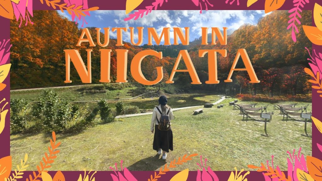 AUTUMN IN NIIGATA | Tunnel of Light JAPAN | GO TO TRAVEL AUTUMN IN NIIGATA | Tunnel of Light JAPAN | GO TO TRAVEL