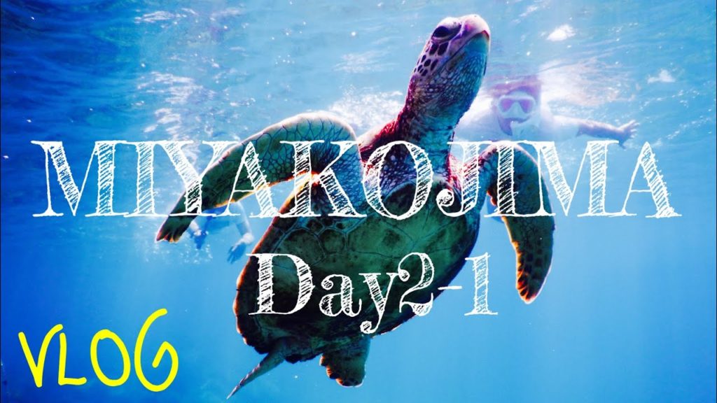 宮古島 ウミガメ シュノーケル VLOG OKINAWA MIYAKOJIMA DAY2-1【セプテン】 宮古島 ウミガメ シュノーケル VLOG OKINAWA MIYAKOJIMA DAY2-1【セプテン】