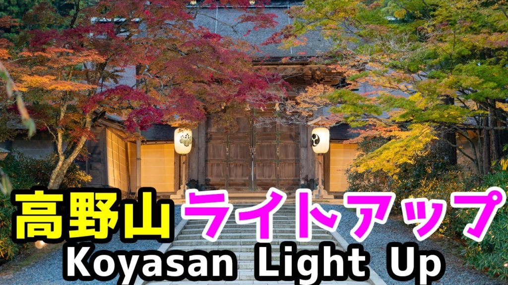 【2020/10/27撮影】高野山・紅葉のライトアップを、地元和歌山県民が紹介します！koyasan Autumn Leaves light up
