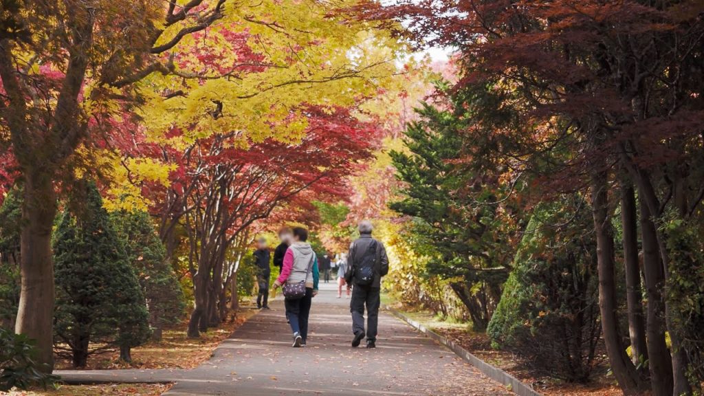 秋の平岡樹芸センター 2020 Hiraoka Tree Art Center in Autumn (4K Ultra HD) 秋の平岡樹芸センター 2020 Hiraoka Tree Art Center in Autumn (4K Ultra HD)