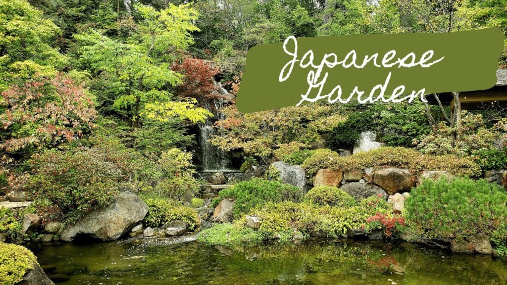 Japanese Garden Walk | Nature Walk | Nature Therapy | Nature Tourism