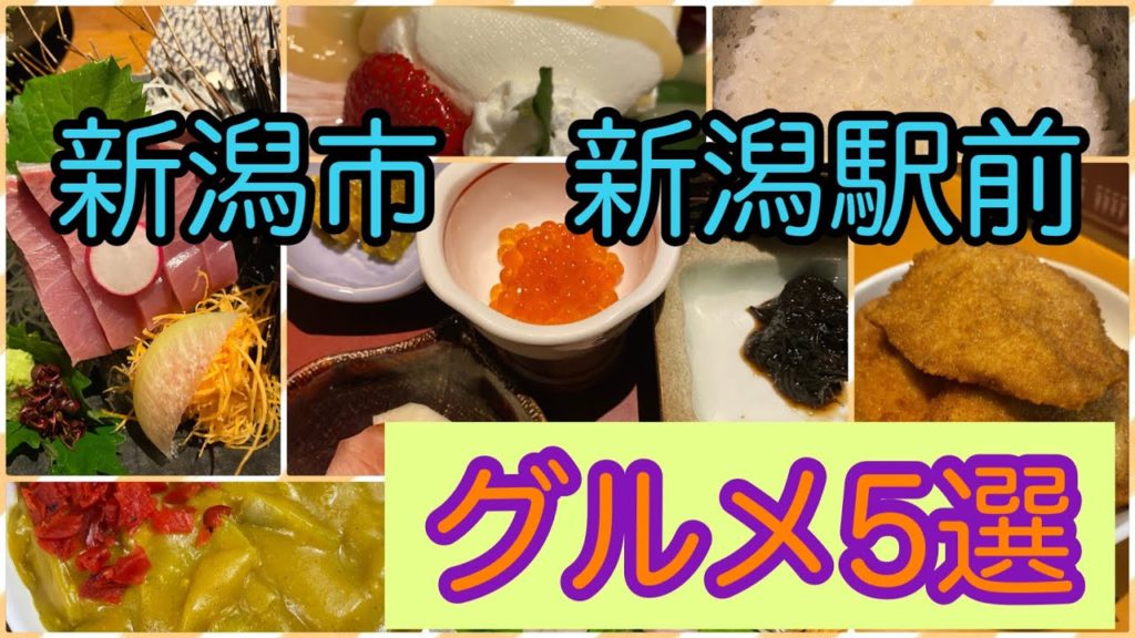 【新潟県　新潟市】新潟駅近グルメ5選　Niigata station  Recommendation