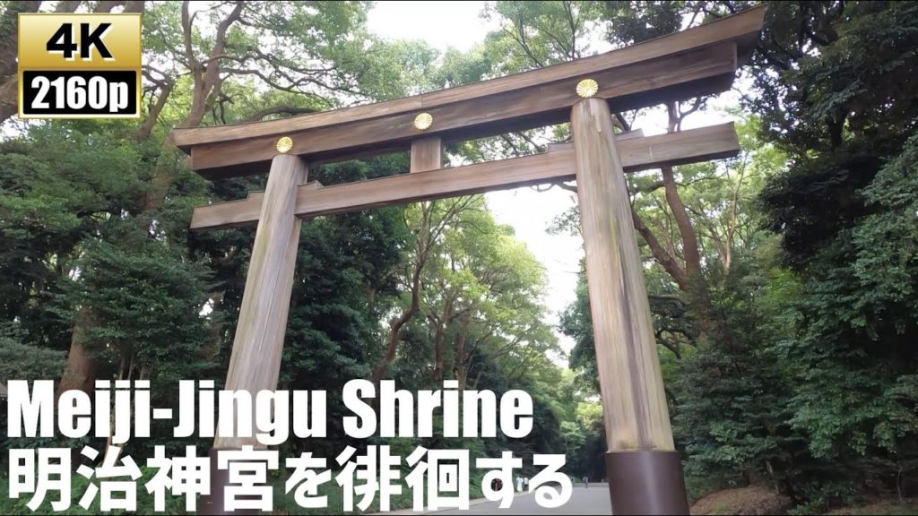 大都会のパワースポット明治神宮を徘徊する　Just Walk Meiji-Jingu Shrine【4K60fps-東京散歩】2020.9