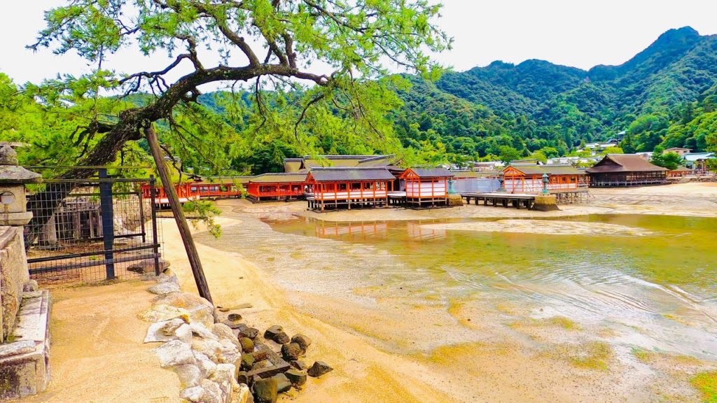 【 4K】Walk at Miyajima Island, Hiroshima - Japan Walking Tour #ASMR