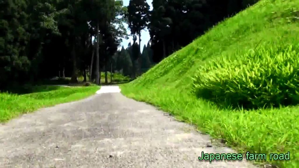 Japanese farm road