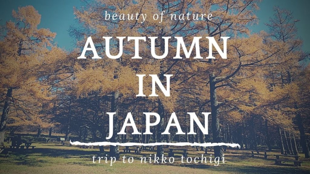 beauty of autumn in nikko japan #japan #vlog #autumn #travel #nikko #traveljapan beauty of autumn in nikko japan #japan #vlog #autumn #travel #nikko #traveljapan