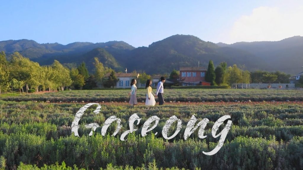 고성 여행 영상(30초)ㅣGoseong travel video