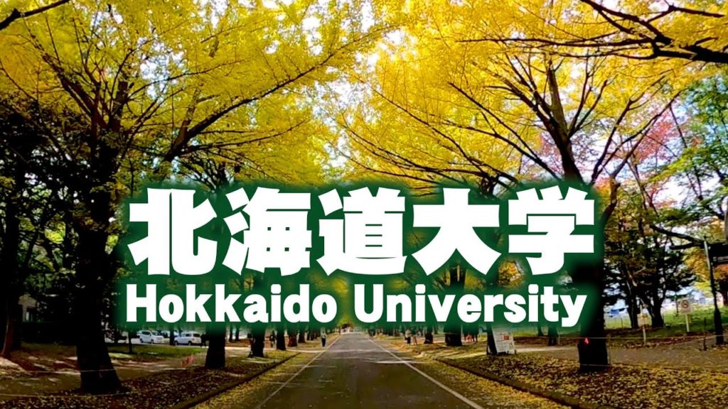 秋の北海道大学（ポプラ並木、銀杏並木）を歩いてきた　I walked around Hokkaido University(Poplar avenue,Ginkgo trees) in autumn