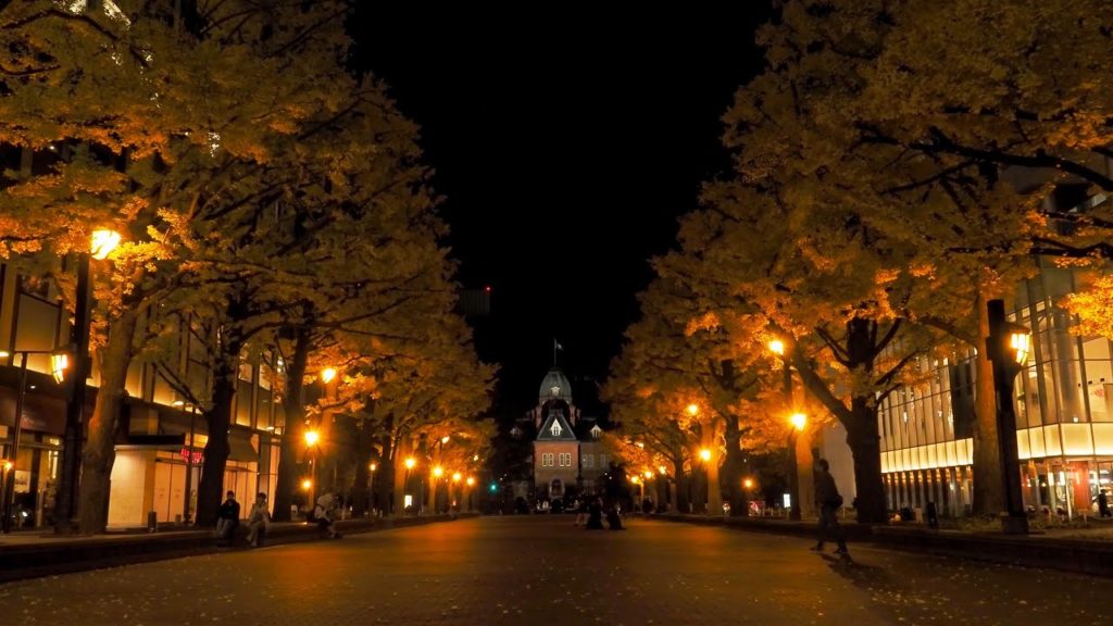 赤れんが庁舎前広場での黄金の銀杏紅葉ライトアップ 2020 Ginkgo autumn leaves light up (4K Ultra HD) 赤れんが庁舎前広場での黄金の銀杏紅葉ライトアップ 2020 Ginkgo autumn leaves light up (4K Ultra HD)