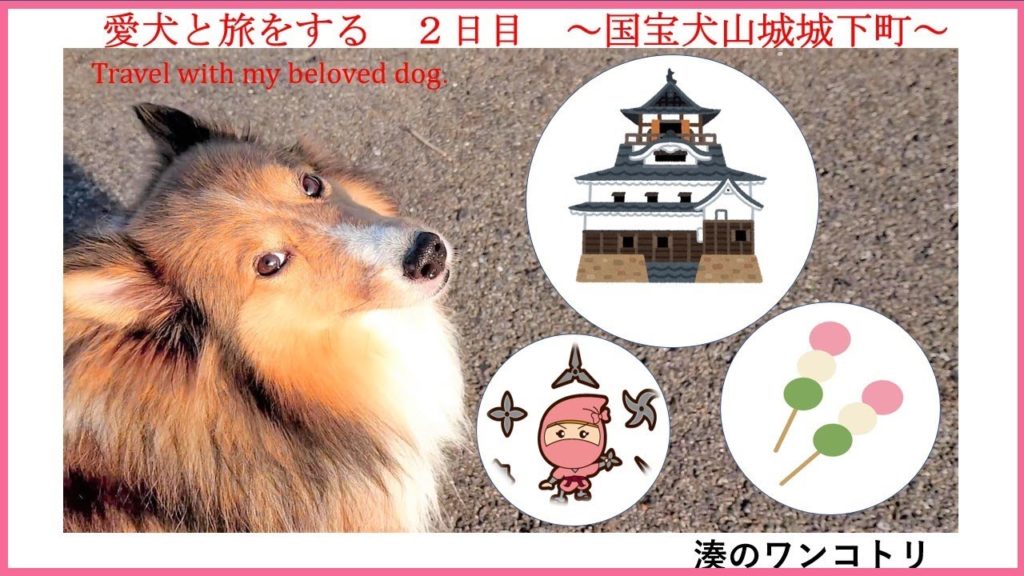 愛犬と旅をする　２日目　～国宝犬山城城下町～　　　National heirloom: Inuyama Castle,  Travel with my beloved dog．