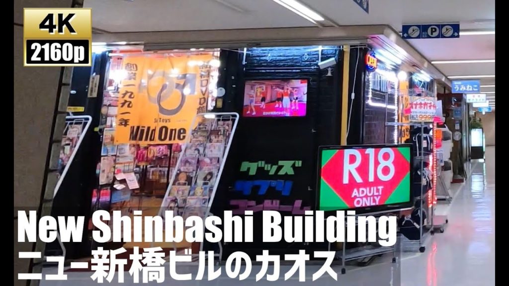 ニュー新橋ビルのカオスを徘徊する　Just Walk Chaos of the New Shimbashi Bldg.【4K60fps-東京散歩】2020.9