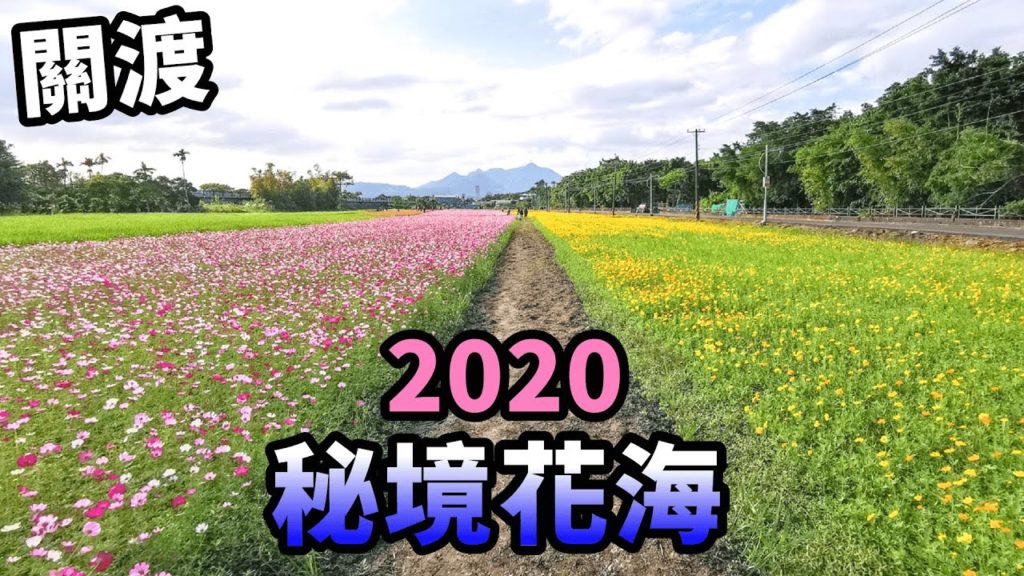 2020關渡秘境花海 藍天綠地好舒心|茄子樂活誌 | HOLA Eggplant 2020關渡秘境花海 藍天綠地好舒心|茄子樂活誌 | HOLA Eggplant