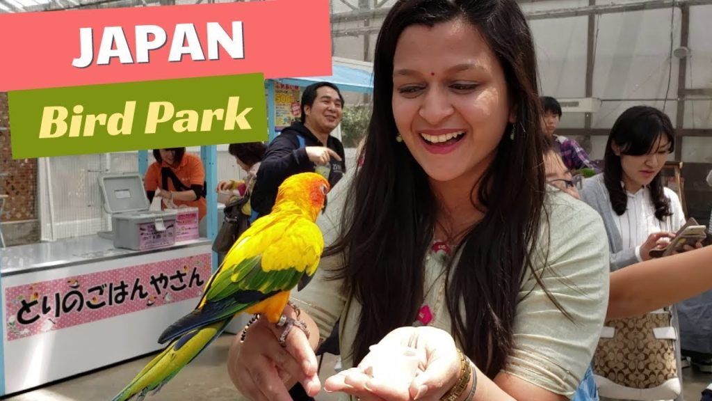 Kakegawa Bird Park π¦π¦ποΈ | AMAZING BIRD PARK IN JAPAN | Kakegawa kachoen| Hamamatsu Kakegawa Bird Park π¦π¦ποΈ | AMAZING BIRD PARK IN JAPAN | Kakegawa kachoen| Hamamatsu
