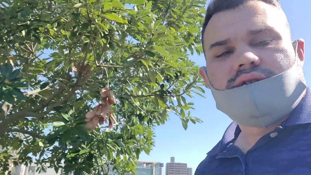 Japan Travel Guide: Kagoshima, ACTIVE VOLCANO and tourist spot