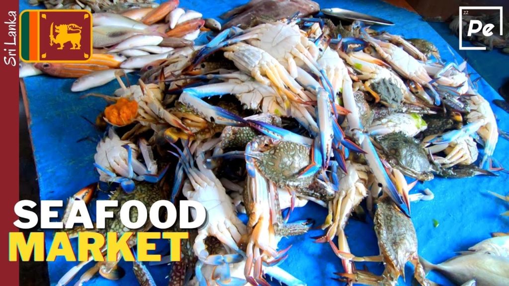 FRESH Fish Market Trincomalee SRI LANKA