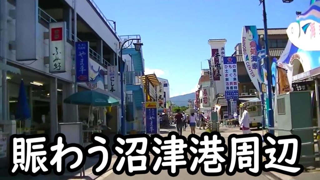 賑わう沼津港周辺 ( 2011年7月17日 ) Around Numazu fishing port crowded with many tourists
