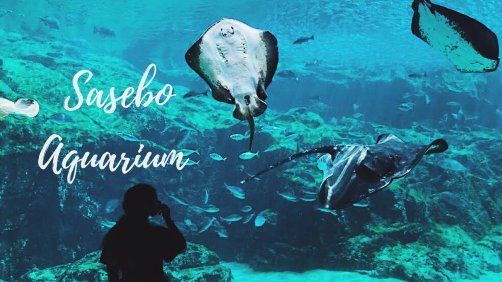 Kujukushima Aquarium | Cinematic 4K Video Kujukushima Aquarium | Cinematic 4K Video