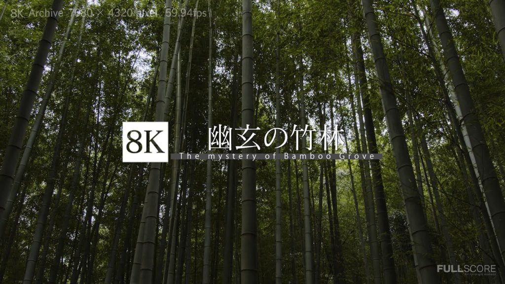 [8K footage] Mystery of Bamboo Grove【幽玄の竹林_8K】