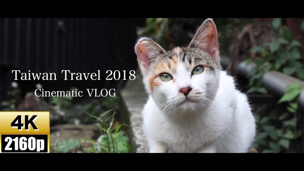 【Cinematic 4K】【VLOG】Taiwan Travel 2018【初めての台湾一人旅】【再編集ver】