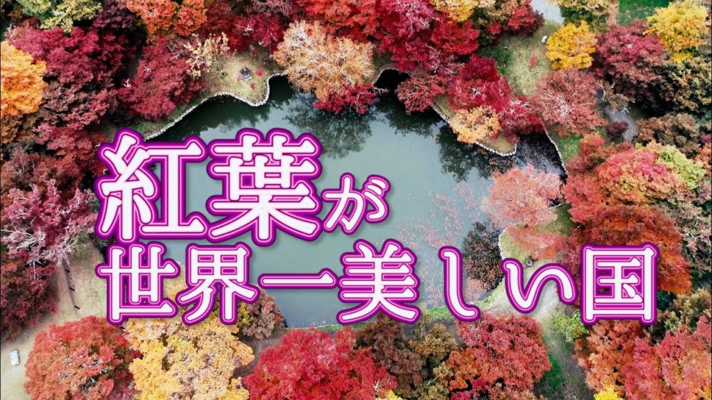 4K映像 ドローン撮影 紅葉が世界一美しい国・日本 癒しのもみじ 用作公園 秘境 Aerial drone video in Japan. Autumn leaves 九州大分 世界の紅葉 田舎 4K映像 ドローン撮影 紅葉が世界一美しい国・日本 癒しのもみじ 用作公園 秘境 Aerial drone video in Japan. Autumn leaves 九州大分 世界の紅葉 田舎