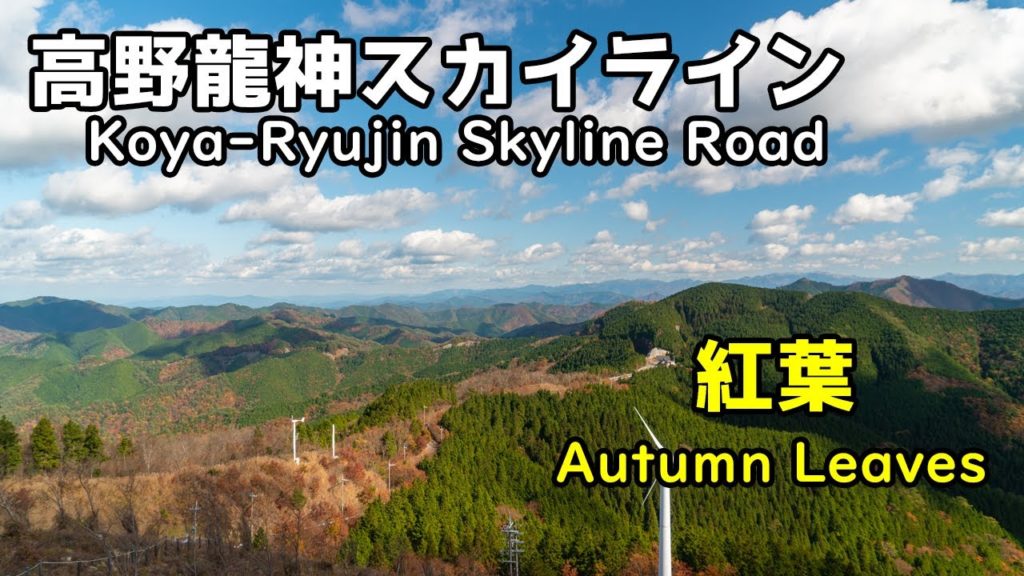 【地元和歌山県民が案内】高野龍神スカイラインの紅葉巡り：Koya-Ryujin Skyline Road Autumn Leaves
