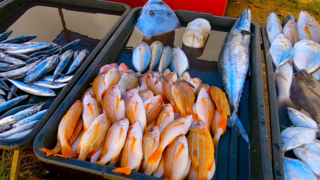 Kundasang Market, Sabah, Borneo, Malaysia GoPro 1080p