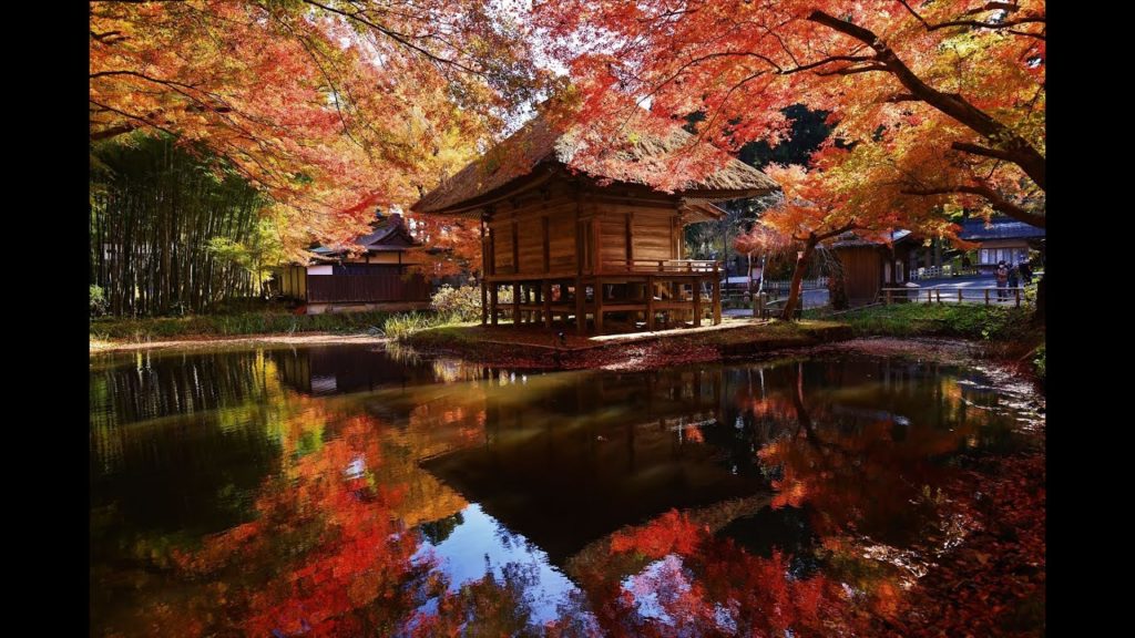 JG☆☆☆☆☆8K HDR 岩手 平泉中尊寺(世界遺産) 盛りの紅葉  Iwate,Hiraizumi Chusonji(World Heritage) Midst in Autumn Leaves