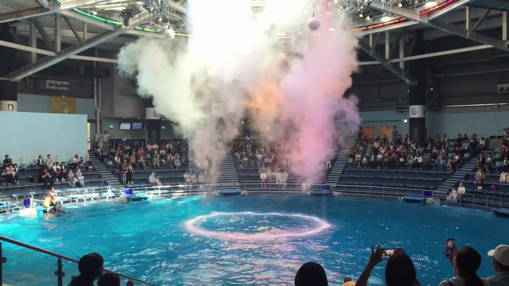 マクセルアクアパーク品川のイルカショーは迫力満点