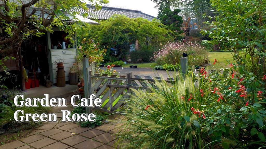 SAITAMA【Private Residence】 Garden Cafe Green Rose. Ms.Yoshie Saito's Residence in Autumn. #宿根草 #4K SAITAMA【Private Residence】 Garden Cafe Green Rose. Ms.Yoshie Saito's Residence in Autumn. #宿根草 #4K