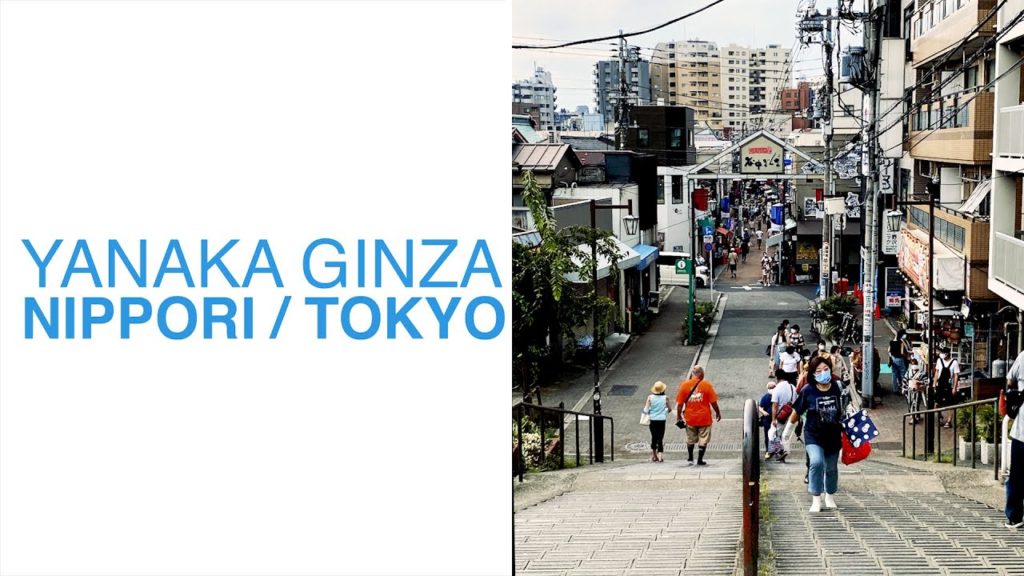 Yanaka Ginza Shopping Street | Tokyo Travel Guide #3  2020 (日本語字幕)