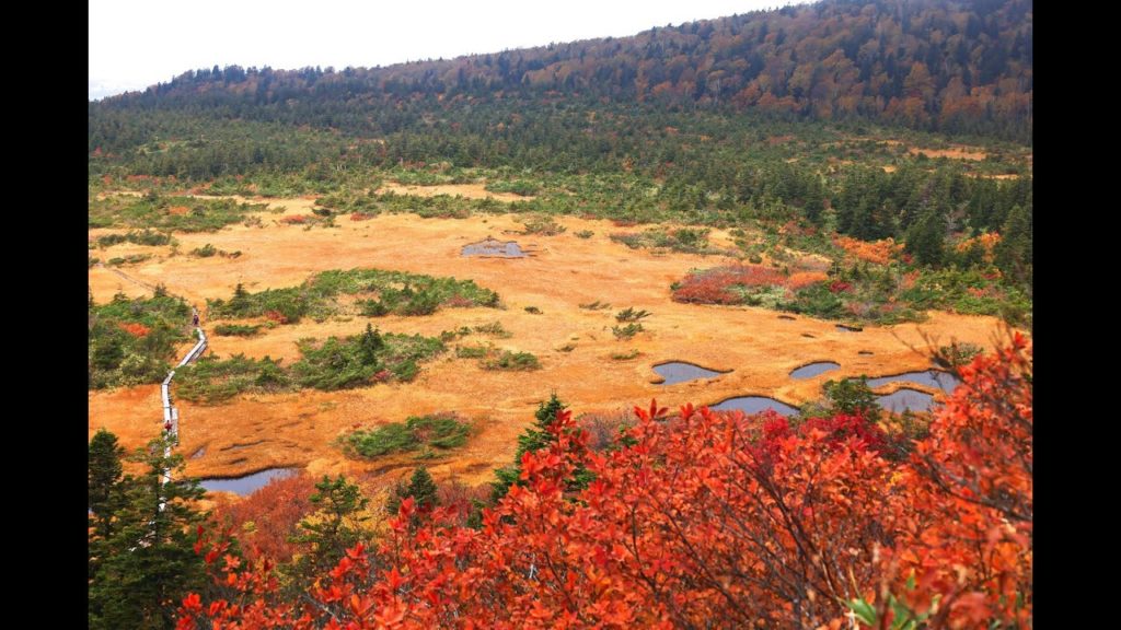 JG☆☆☆☆8K HDR 青森 八甲田山の紅葉 Aomori,Hakkoda in Autumn
