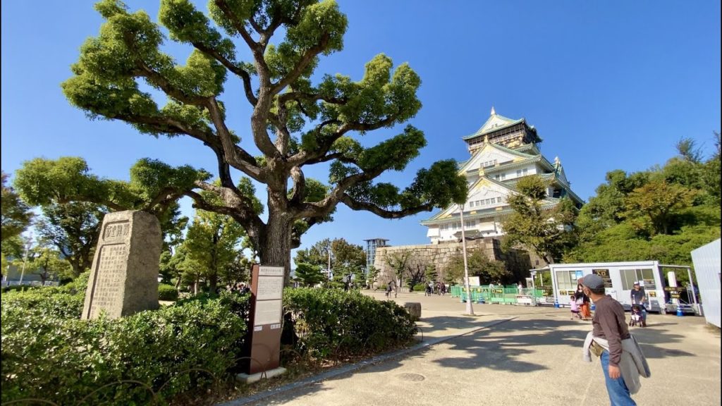 【4K】Walk on Osaka-castle(大阪城) in Osaka(大阪散歩)【2020】