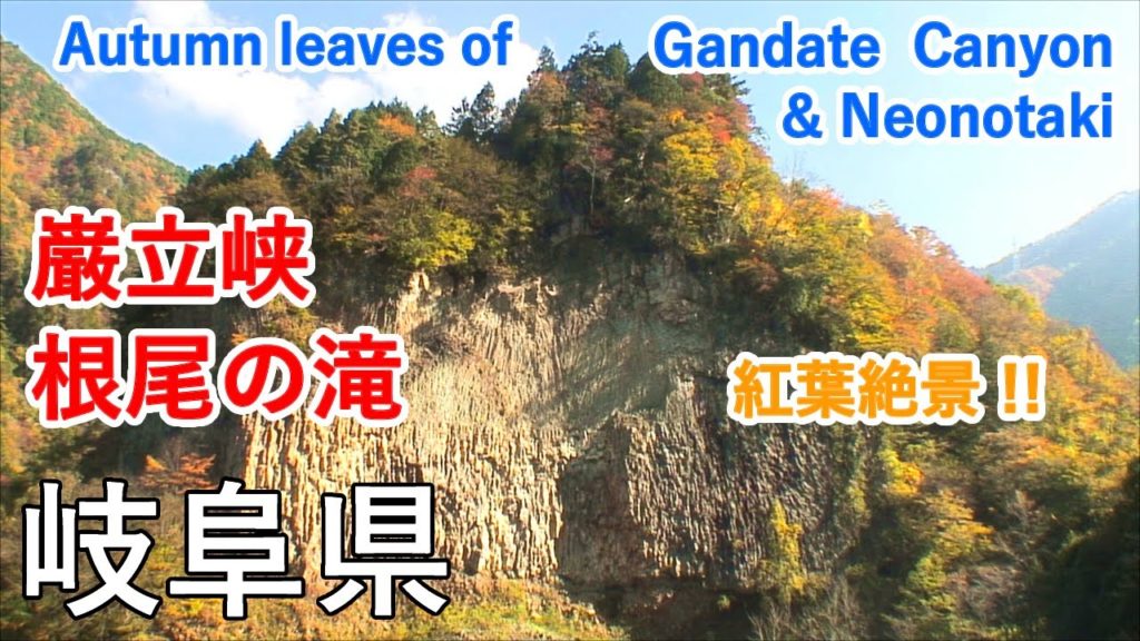 岐阜県 巌立峡・根尾の滝の紅葉（日本の滝100選） / Autumn leaves of Gandate Canyon & Neonotaki ( Gifu, Japan )【日本の紅葉絶景！】