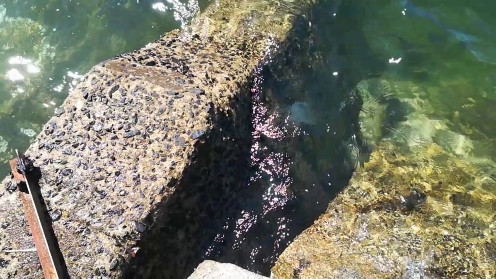 Cobblestone and sea / Japan / Online travel