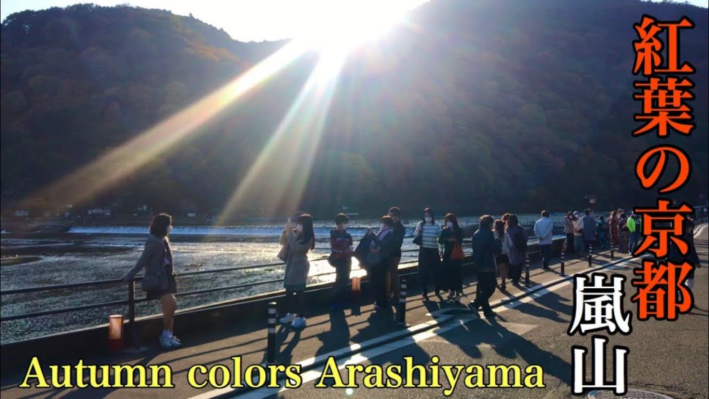 2020年11月12日(木)紅葉の京都嵐山！Kyoto Arashiyama in autumn