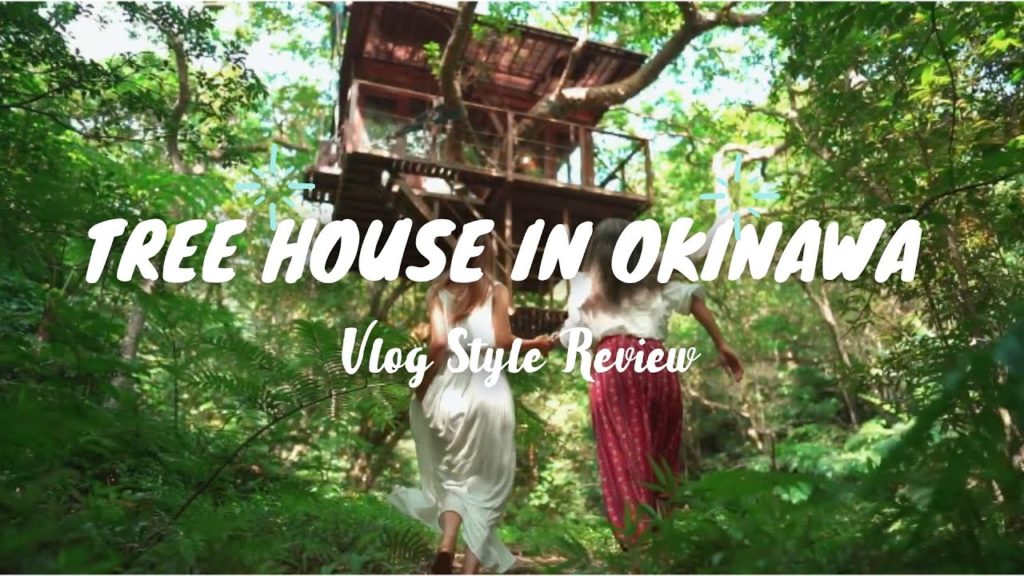 Review Tree House in Okinawa  沖縄の名護にツリーハウス！レビュー