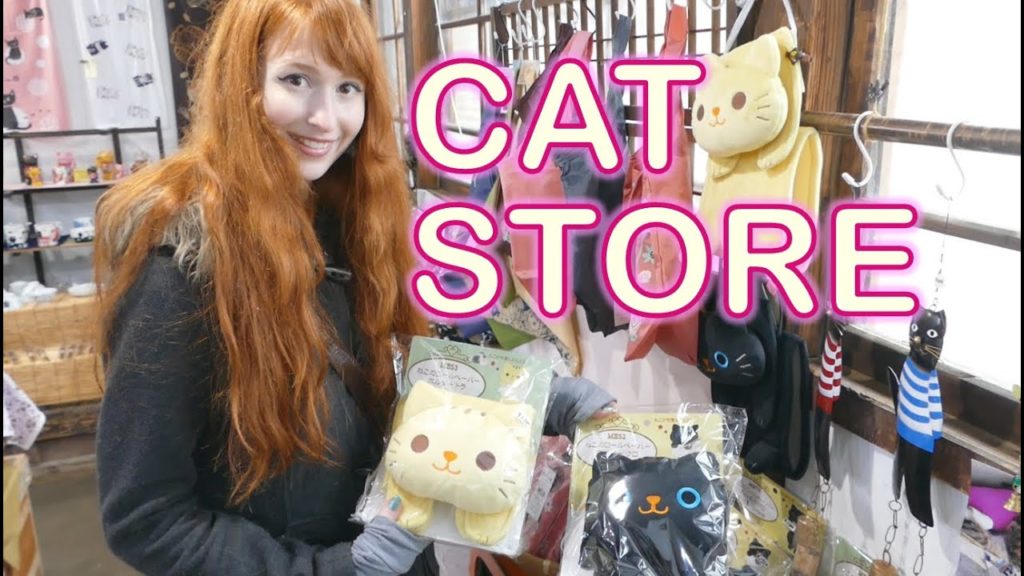 Samurai town with a CAT STORE Samurai town with a CAT STORE