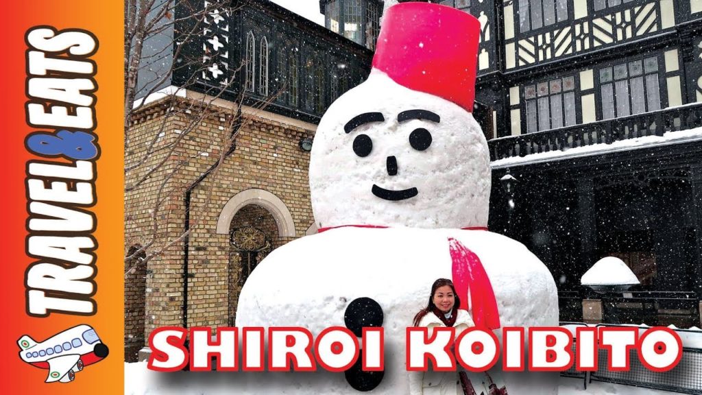 Hokkaido Winter Trip 2018 Part 5   Shiroi Koibito Park | Oodori | Susukino
