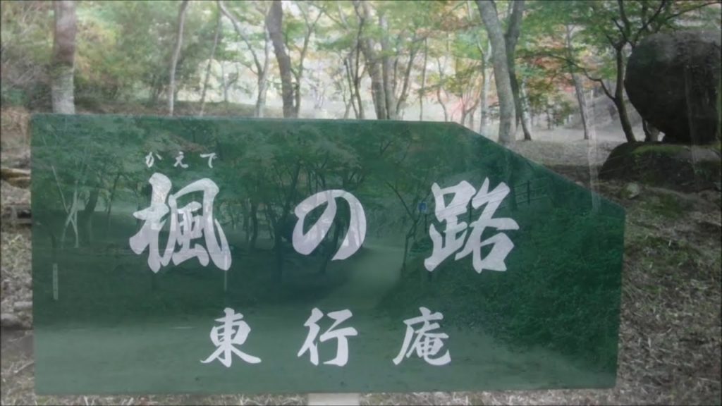 東行庵の紅葉 2020【11月初旬】（山口県 下関市）