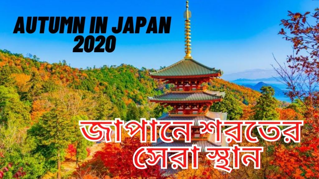 Autumn leaves in Japan Tokyo color Season and Nature Relaxation Autumn leaves in Japan Tokyo color Season and Nature Relaxation