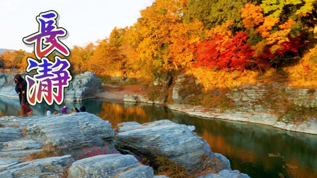 SAITAMA. The variety of fall colors at Nagatoro. #長瀞 #4K