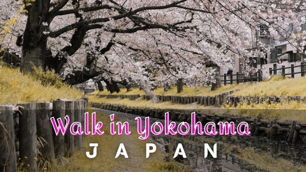 [4K] Japan Walk 🇯🇵 in Rain in Corona lockdown (Covid-19), Yokohama