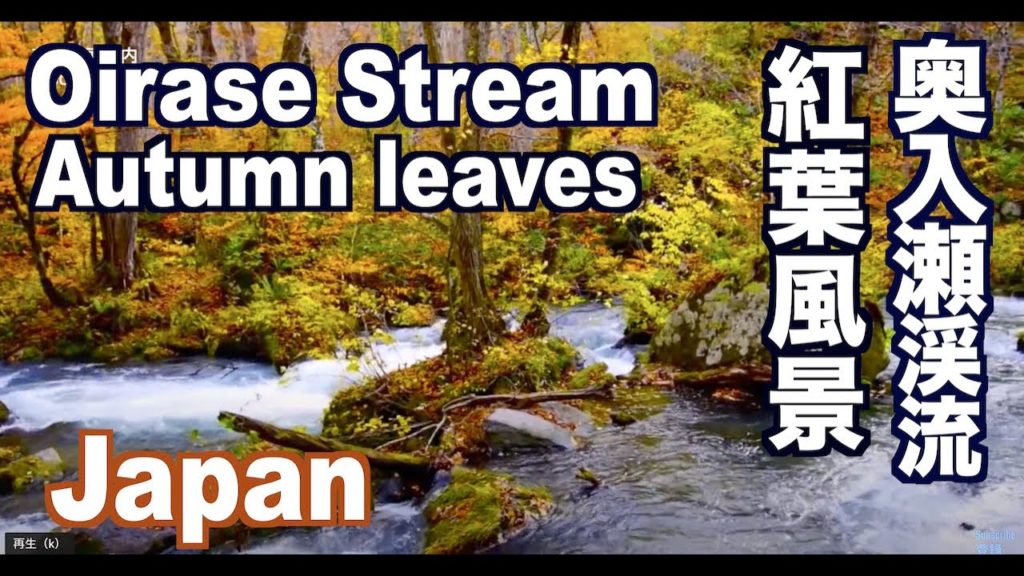 奥入瀬渓流の美しい紅葉 Autumn leaves in Oirase Stream 東北紅葉 日本紅葉 JAPAN Tohoku 東北観光 Aomori 青森観光 十和田湖 waterfalls 奥入瀬渓流の美しい紅葉 Autumn leaves in Oirase Stream 東北紅葉 日本紅葉 JAPAN Tohoku 東北観光 Aomori 青森観光 十和田湖 waterfalls