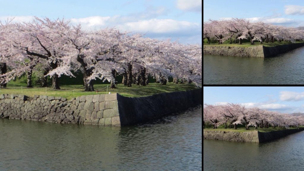 6 best Hanami (Sakura viewing) experiences #1 Goryōkaku, the Star Shaped Fort, Hakodate 6 best Hanami (Sakura viewing) experiences #1 Goryōkaku, the Star Shaped Fort, Hakodate