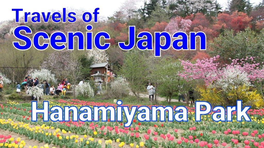 【旅エイター ★ 2156】Hanamiyama Park  [Travels of Scenic Japan by Tabiator]