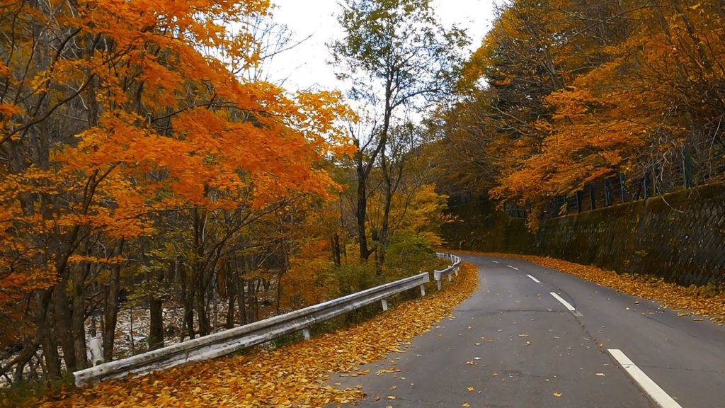 Downhill Driving: Wada Toge (Wada Pass), Nagano - Autumn Leaves [4K] JAPAN